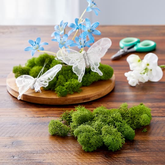 SuperMoss® Basil Reindeer Moss